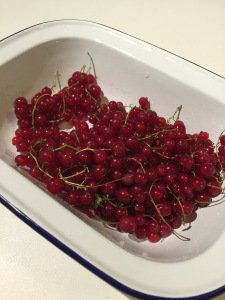 IMG_0273