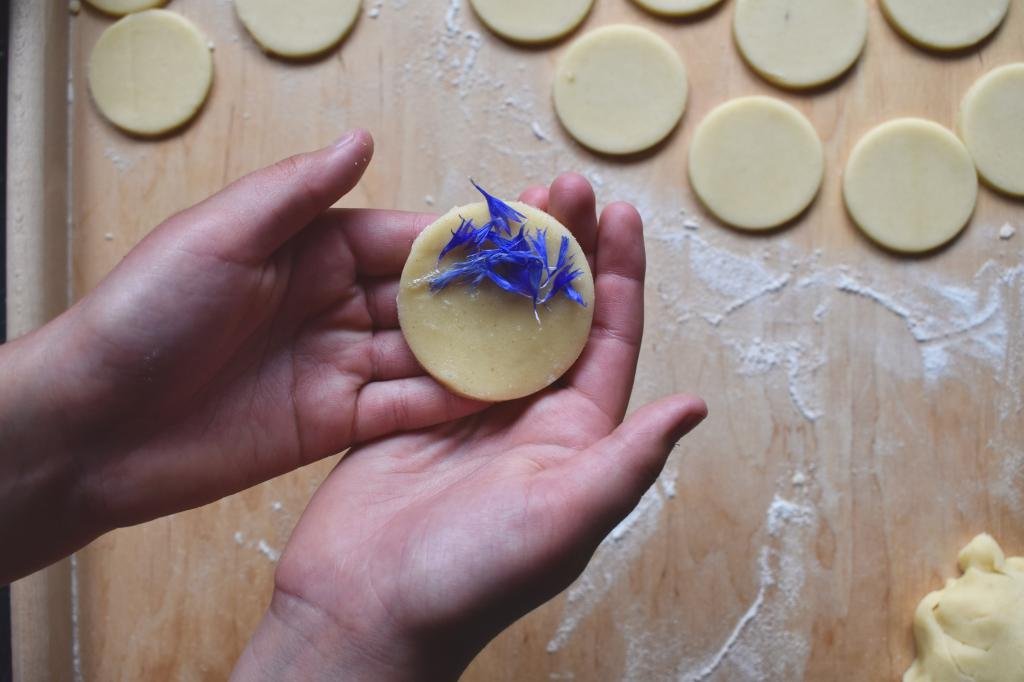 two hands holding ready to bake shortbread biscuit with fresh blue cornflower petals 